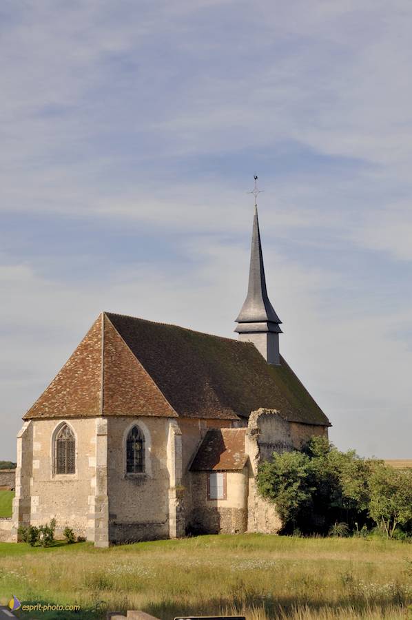 Nom de l'image : D2238003_1_(c)Norbert-JUNG — Description :